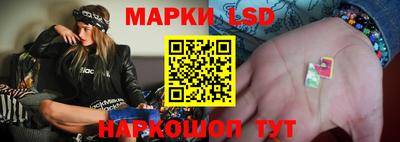 шишки Моздок