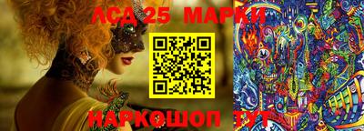 шишки Моздок