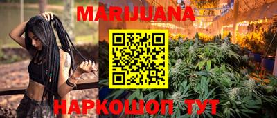 шишки Моздок