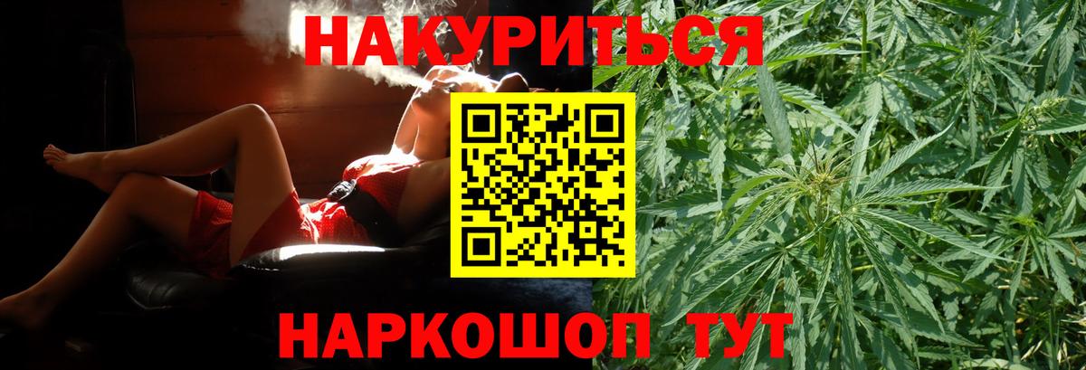 Конопля гибрид Балашов
